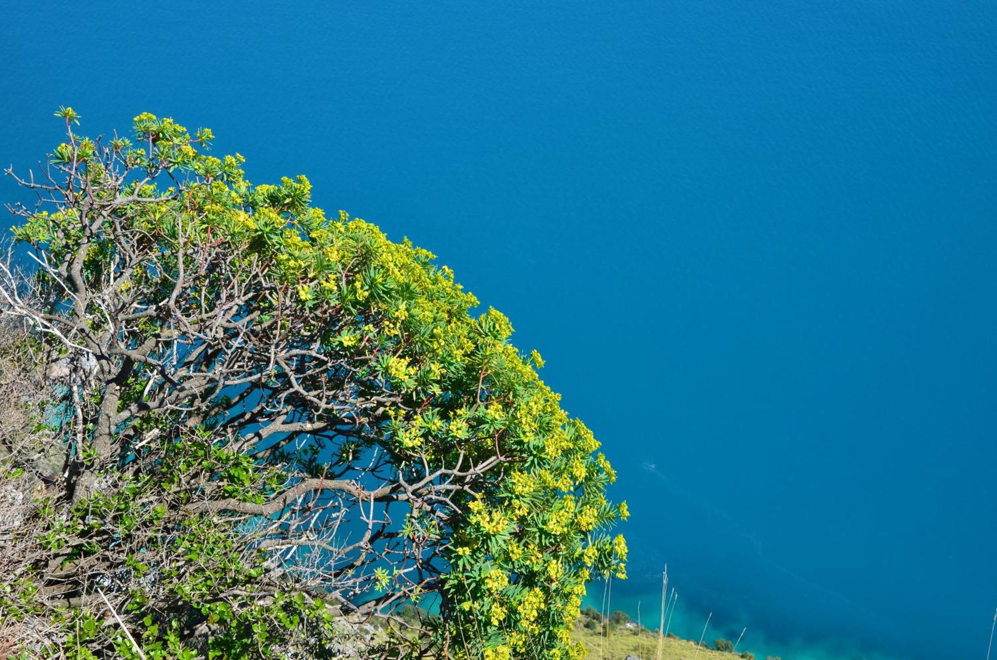 Tre Borghi Villa San Giovanni a Piro Exteriör bild